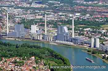 Mehr Kohle-Strom aus dem Grosskraftwerk Mannheim? - Wirtschaft - Mannheimer Morgen