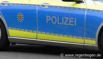 SEK-Einsatz in Mannheim-Neckarstadt - Regenbogen