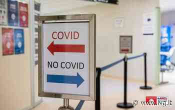 Covid, Ansaldi (Alisa): “Alto grado di contagiosità, ma la crescita sembra rallentare” - IVG.it