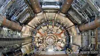 Famous Higgs boson behaves just as expected, 'most comprehensive studies' confirm