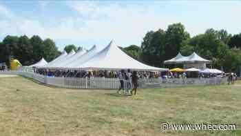 Corn Hill Arts Festival opening day garners praise from artists