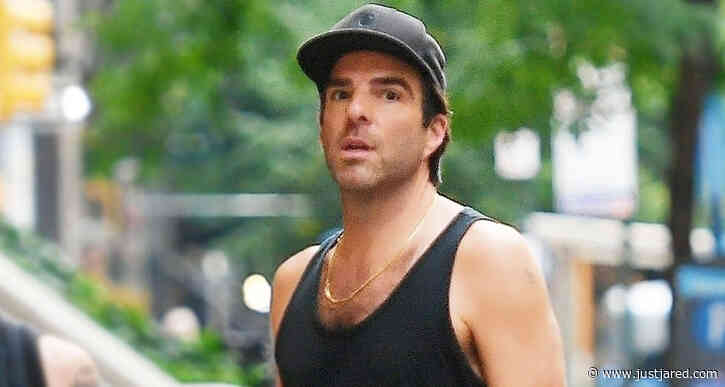 Zachary Quinto Catches Up with a Friend While Out Walking His Dogs