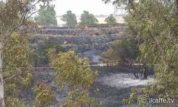 Incendi tra Pomezia, Ardea e Castelli: "Mappare i siti dismessi" - Il Caffe - Il Caffè.tv