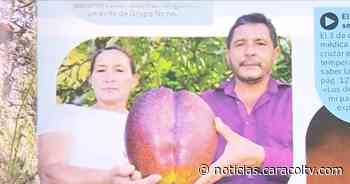 Hay orgullo en Guayatá, Boyacá: pequeña finca logró un récord Guinness - Noticias Caracol