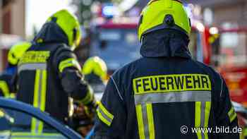 Traunstein: Bei Brand auf Bauernhof sterben zehn Kälber - BILD