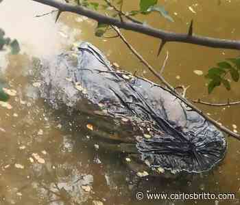 Corpo é encontrado dentro de saco às margens do rio em Juazeiro - Carlos Britto