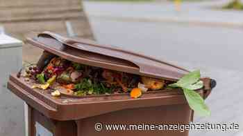 Maden in der Wohnung: Zeitungs-Trick hilft im Sommer gegen die eklige Plage