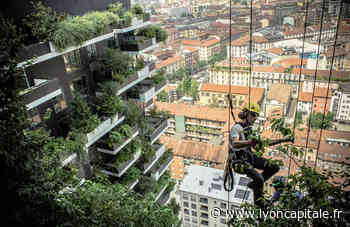 Chaleur à Lyon : des idées fraîches autour du monde - Lyon Capitale