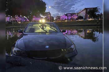Woman arrested after car drives into Victoria pond – Saanich News - Saanich News