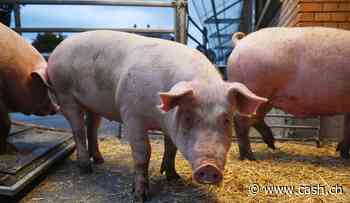 Konjunktur - China: Konsumentenpreise steigen stärker als erwartet