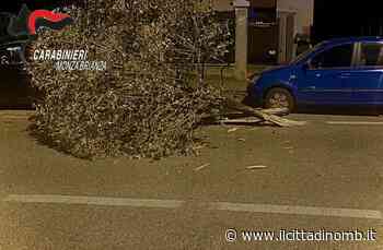 Carambola a Giussano, una denuncia per guida in stato d'ebbrezza - Il Cittadino di Monza e Brianza