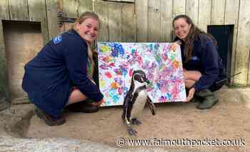 Penguin art on display at gallery in Cornwall up for auction - Falmouth Packet