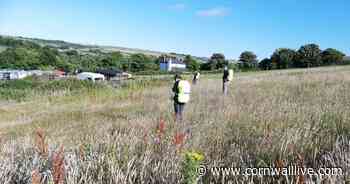 Police search into the night for missing 'despondent' man in Troon - Cornwall Live
