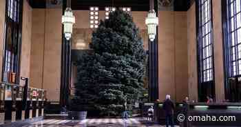 Short Takes: Omaha's Durham Museum is looking for its next Christmas tree - Omaha World-Herald