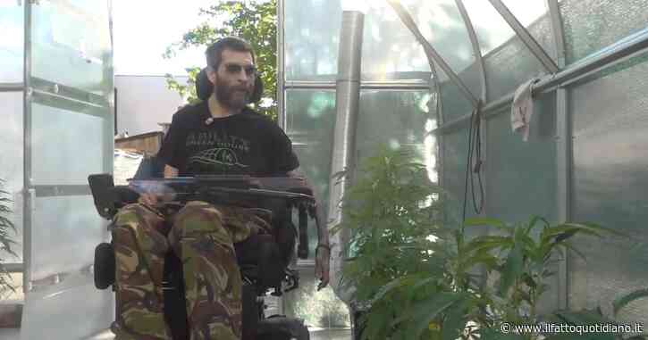 Cannabis terapeutica, a Torino la serra gestita da disabili per avere le cure che lo Stato non garantisce: “Siamo pazienti non delinquenti”