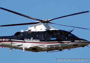 Carabinieri all'opera contro lo spaccio nei boschi a Tradate, Castiglione Olona e Carnago - varesenews.it