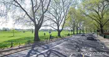 Gunshots fired in residential street in Hackney as police appeal for information - My London