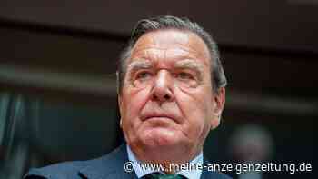 Schröder: Gebe Gesprächsmöglichkeiten mit Putin nicht auf