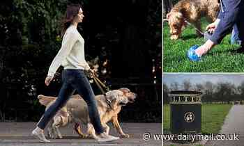 Dog walkers caught without poo bags could be fined £100 as local ...