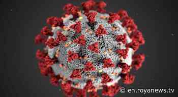 Jordan confirms one death and 2,135 coronavirus - Roya News English