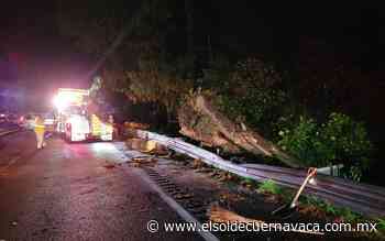 Causan afectaciones moderadas vientos y lluvia en Morelos - El Sol de Cuernavaca