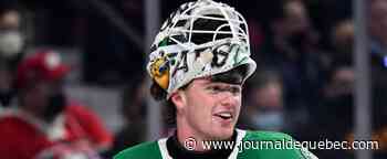 LNH: cinq candidats potentiels pour une offre hostile