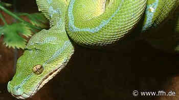 Sommerfest im Tümpelgarten in Fulda - HIT RADIO FFH