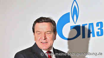 Schröder über Ukraine-Krieg: Verhandlungen sind nicht an Putin gescheitert