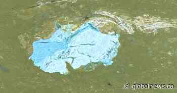 Saskatchewan government warns about blue-green algae - Global News