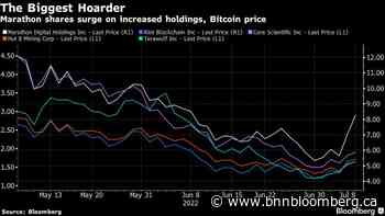 Crypto Miner Marathon's 54% Surge Still Leaves Stock Deep in Red - BNN
