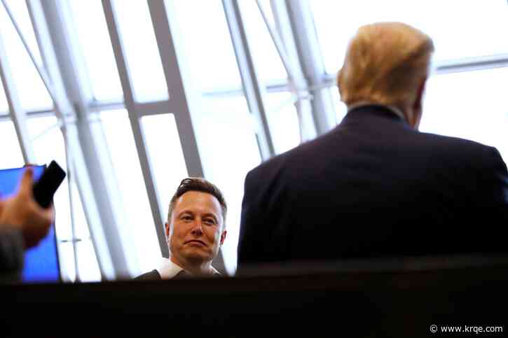 Trump: Elon Musk 'another bulls--- artist'