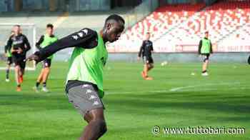 Da Mane a Rossetti: l'altro Bari in ritiro. Ma il futuro è già scritto - BARI CALCIO