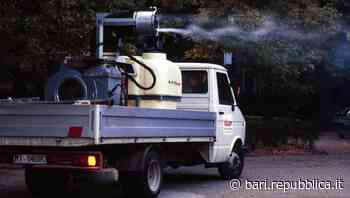 Bari, emergenza zanzare: una ragazza finita in ospedale e l'Amiu ora intensifica le disinfestazioni - La Repubblica