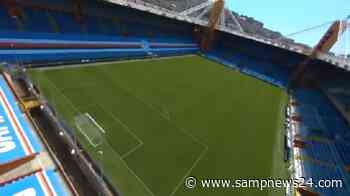 Serie B, video degli stadi. Ferraris per il Genoa, ma è blucerchiato - Samp News 24