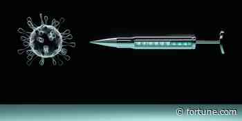Could a universal coronavirus vaccine be the silver bullet that ends this pandemic—and the next? - Fortune