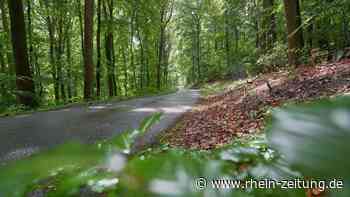 Nach Überfall auf SUV in Koblenz-Arenberg: Polizei fahndet mit Hochdruck - Rhein-Zeitung