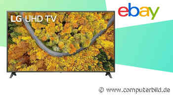 65-Zoll-Fernseher von LG für nur 450 Euro bei Ebay im Angebot! - COMPUTER BILD