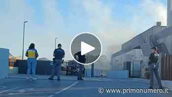 Incendio al supermercato Pam di Termoli, evacuati clienti e dipendenti - Primonumero