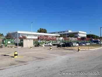 Stellantis, nuove dimissioni retribuite in vista: 80 dipendenti saranno pagati per andarsene - Primonumero