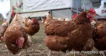 Naturschutzbeirat der Stadt fördert vier Schulgärten - Kaiserslautern - Rheinpfalz.de