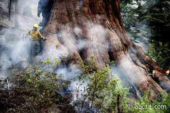 Yosemite fire grows as crews protect iconic sequoias