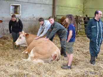 Aisne. Lycée agricole : les élèves se distinguent à Arras - actu.fr