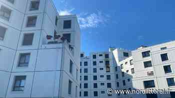 Arras : quatre chats décèdent dans l'incendie d'un appartement de la résidence Saint-Michel - Nord Littoral