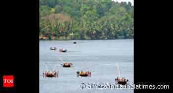 Goa: Water levels of rivers, dams below warning mark - Times of India