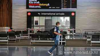 Heather du Plessis-Allan: Govt's immigration reset is keeping NZ poor - New Zealand Herald