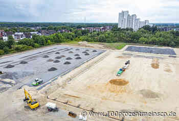 Bau der neuen Trainingsplätze (Update 3) - 100ProzentMeinSCP