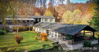 "Echo hilft!": Bau des Woodiversums im Herbst - Echo Online