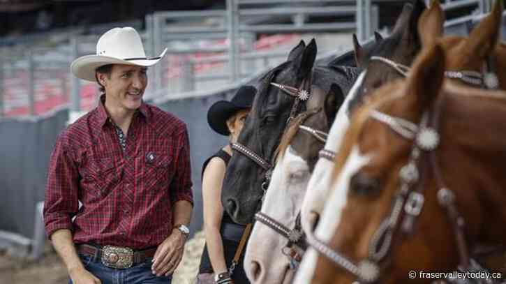 ‘Happy Stampede’: Prime minister mobbed by admirers at Stampede events