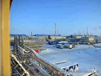 Deutsche FDP fordert Prüfung von Gasförderung in der Nordsee