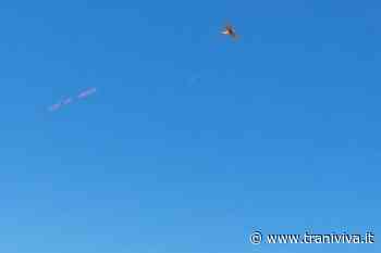 Romanticismo d'altri tempi a Trani: "Ti amooo!" dallo striscione di un aereoplano - TraniViva